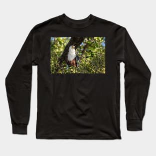 African Fish Eagle, Chobe River, Botswana Long Sleeve T-Shirt